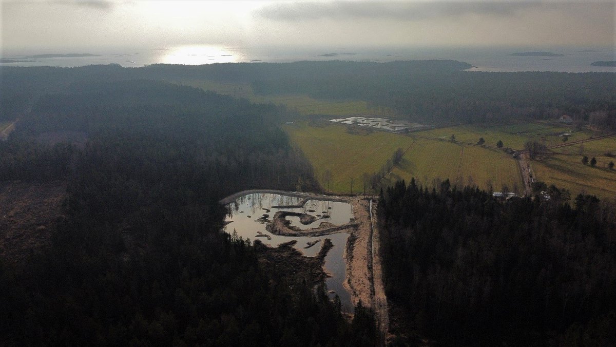 RANKKU-hankkeessa rakennettiin loka-marraskuussa kaksi  yhteensä 2,3 ha:n kokoista kosteikkoa Hankoon käsittelemään pienen suoraan Itämereen laskevan uoman valumavesiä. Kiitos <a href="/yministerio/">Ympäristöministeriö</a>, Lassi Leppinen säätiö, @RudusOy, <a href="/WWFSuomi/">WWF Suomi</a> @IirisKokkonen Kuva: Iiris Kokkonen