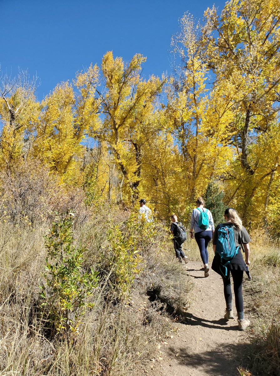 Happy #NationalTakeAHikeDay! Be sure to get outside today, and don't forget to bring appropriate clothing, footwear, water, and a leash and poo bag for your dog! #RecreateResponsibly