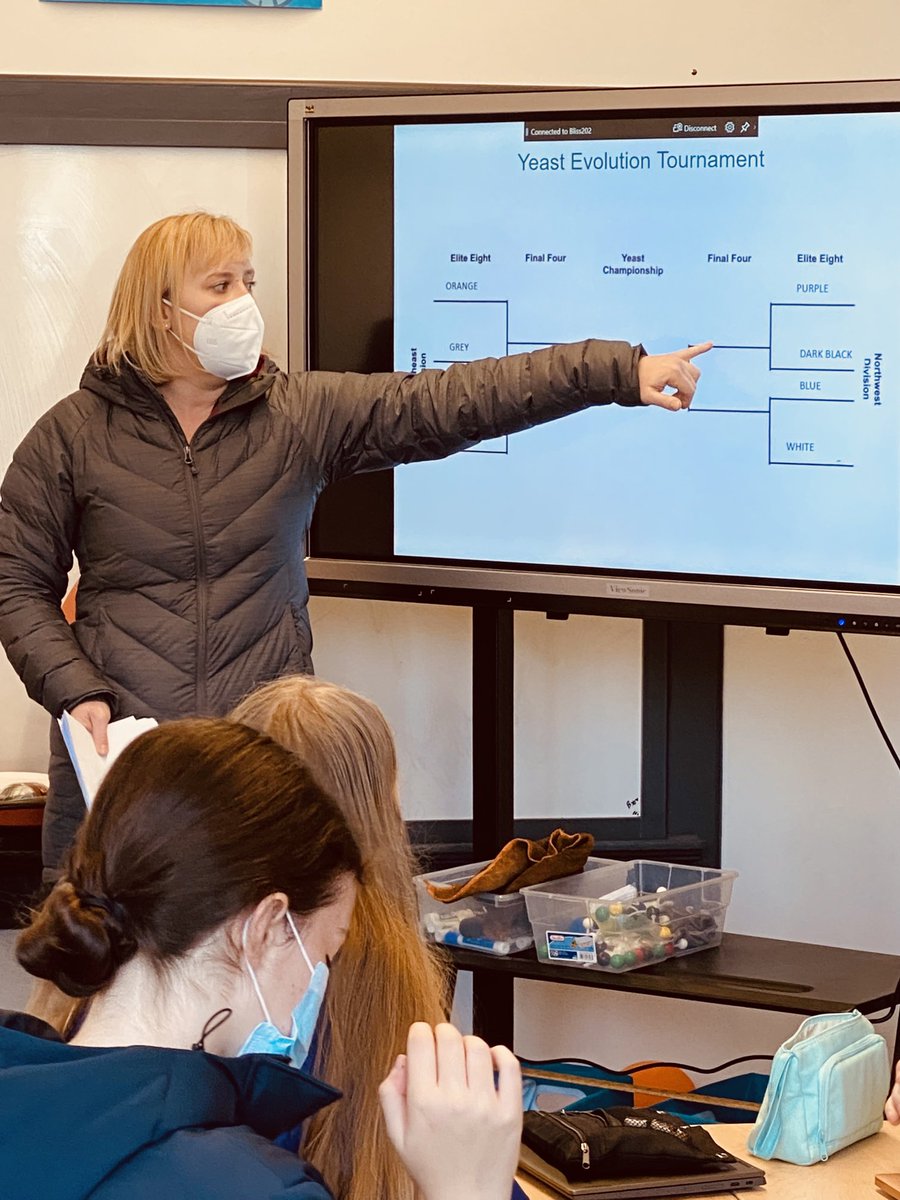 Everything is a competition. Let the Biology Yeast Evolution Tournament begin! ⁦@DTSchoolSeattle⁩ ⁦@KelseyDTS⁩