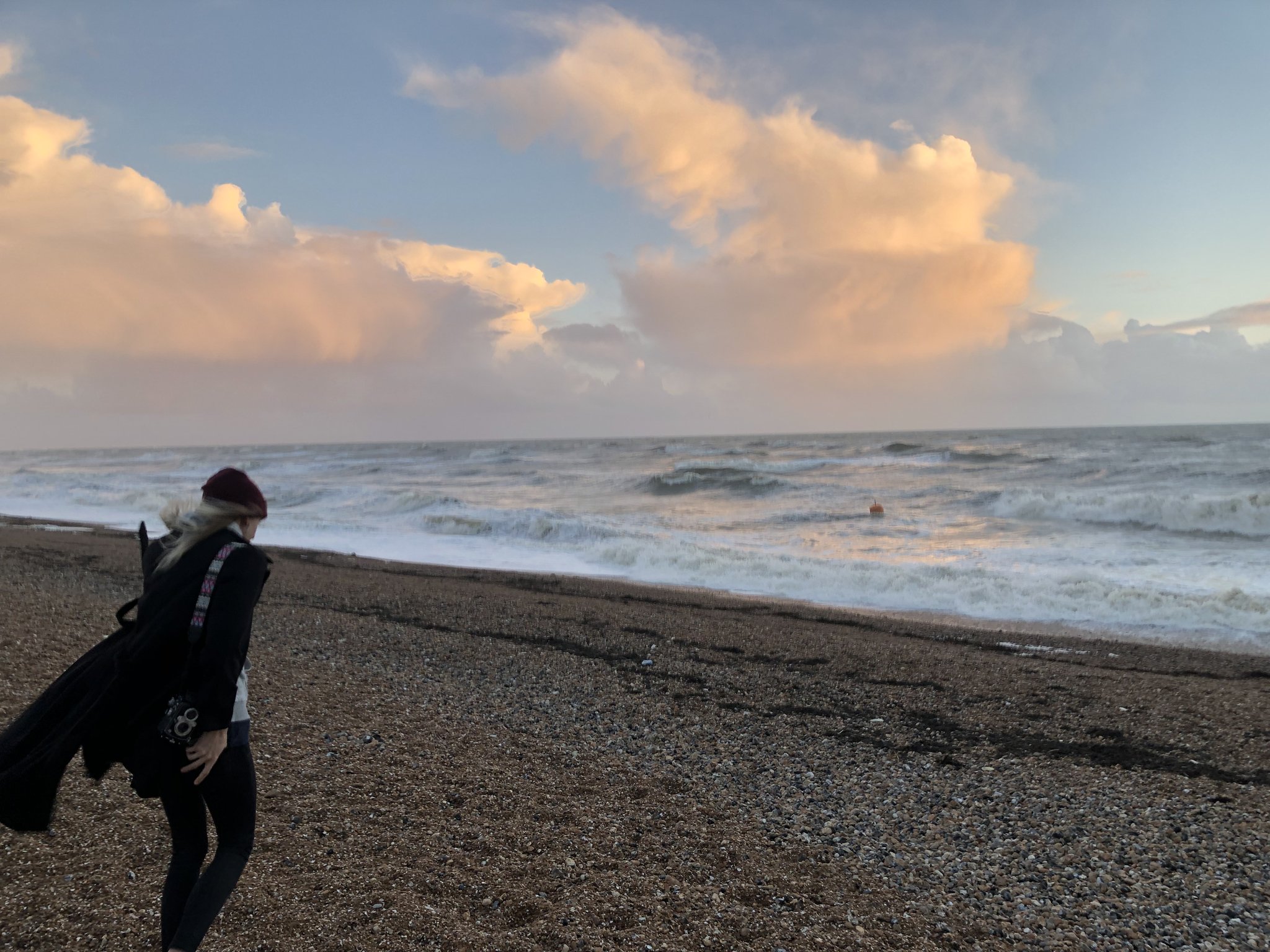 Hold on. I'm returning to my true crab form ? https://t.co/5xkBXMYNQK