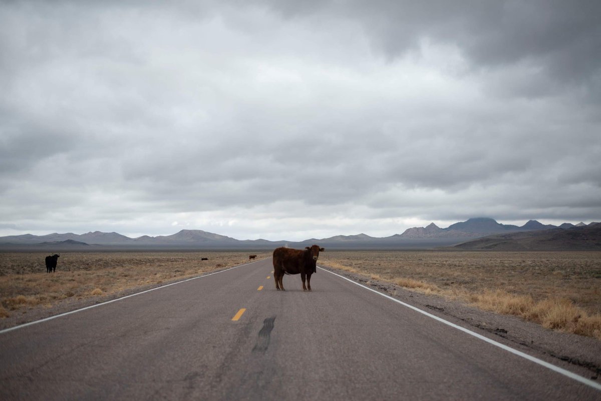 Leavingfromla's tweet photo. A1. #ETHighway #NVRoadTrip #iExploreChat https://t.co/PWeMRzYCBk