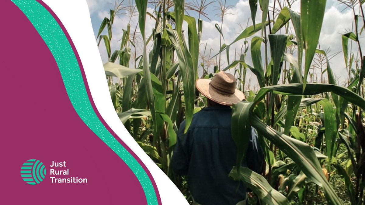 JRTransition's tweet photo. Beyond #COP26 we need a radical transformation of the world’s #FoodSystems to accelerate action for people, planet, and prosperity

We all have a part to play to meet the #SDGs and #ParisAgreement 🎯

#FixFoodSystems #GoodFood4All https://t.co/jJXMyGQg3Z
