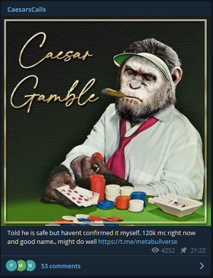 MetaBullverse's tweet photo. Yesterday we were posted by caesar !!! https://t.co/tuMVgTGgQp