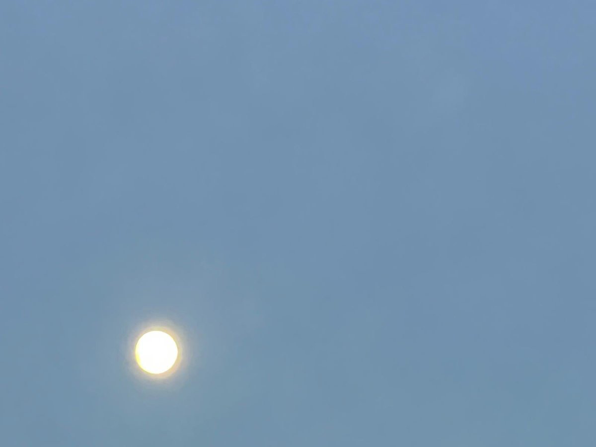 vioIet_'s tweet photo. @lacthoes how do you take such good pics of the moon omg??? whenever i take one it looks like this 💀 https://t.co/Qzot0hIzrZ