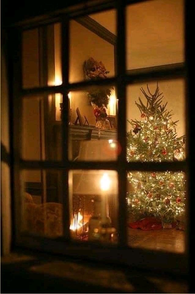 There are two times of year : Christmas and waiting for Christmas.