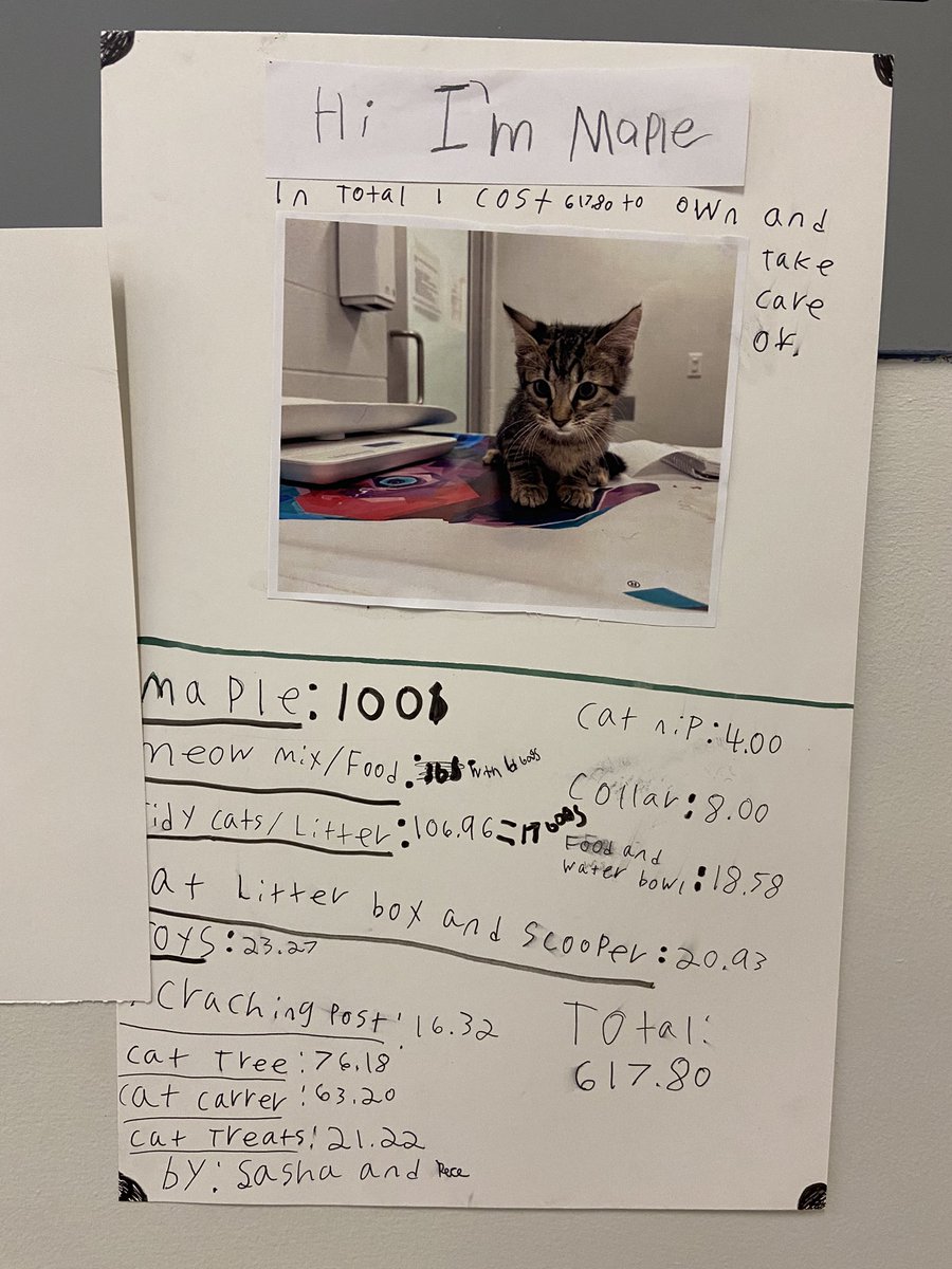 Brandon Daley tweet media