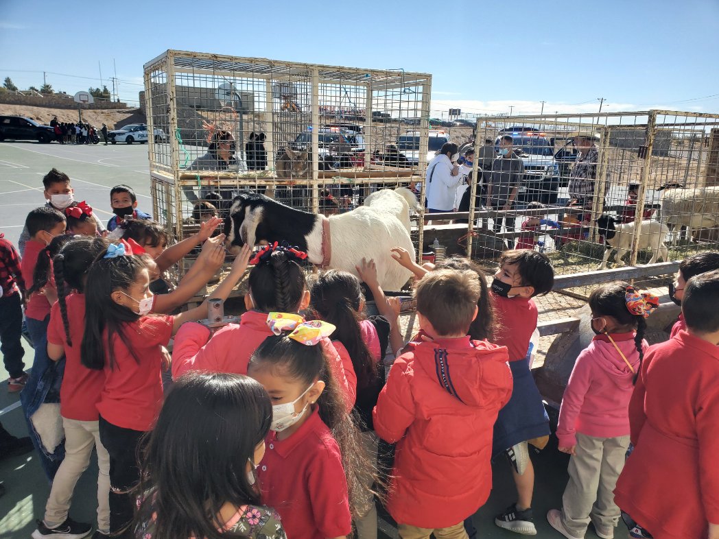 Hazel Valverde tweet media