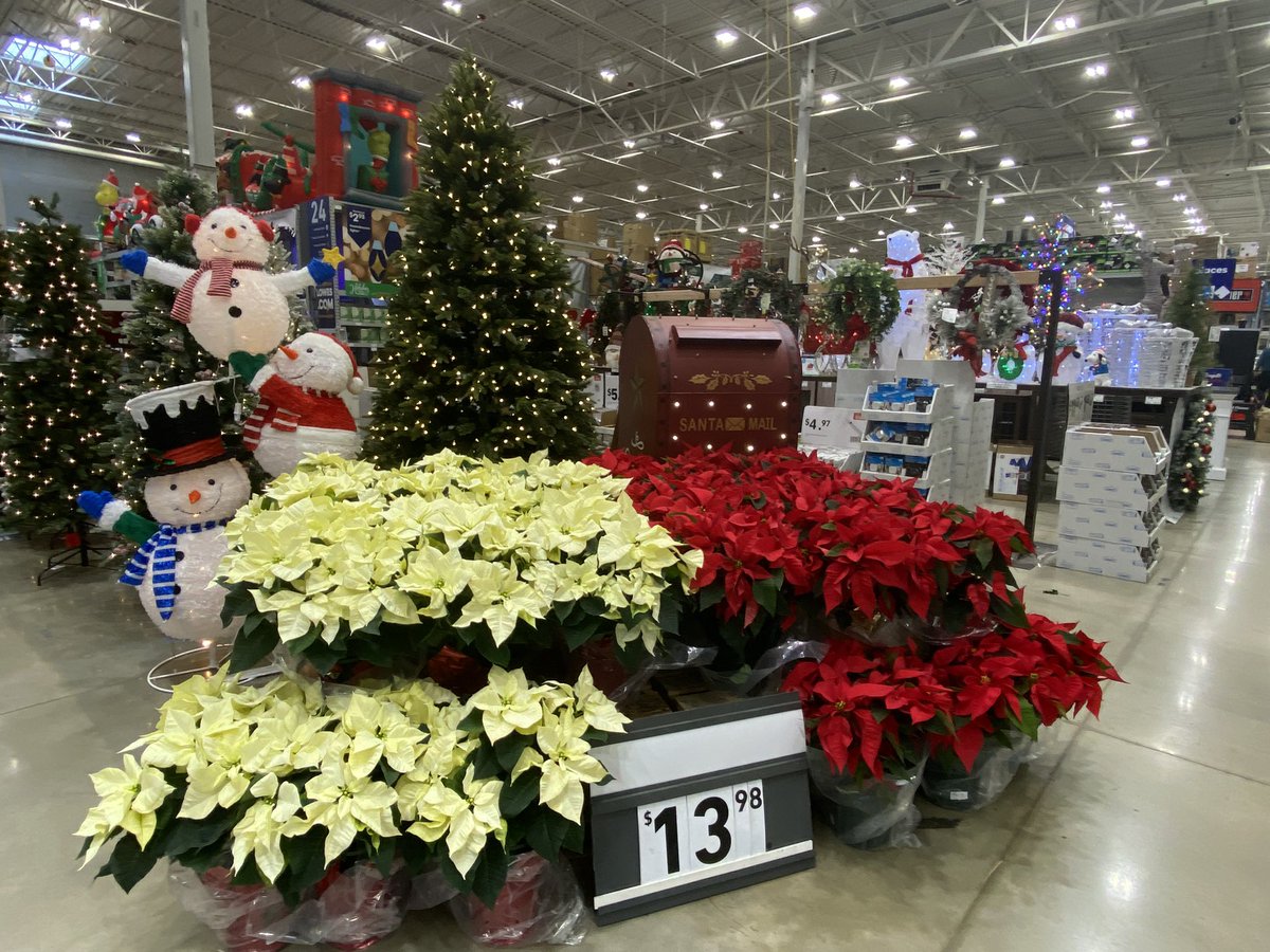 Jill Guth tweet media