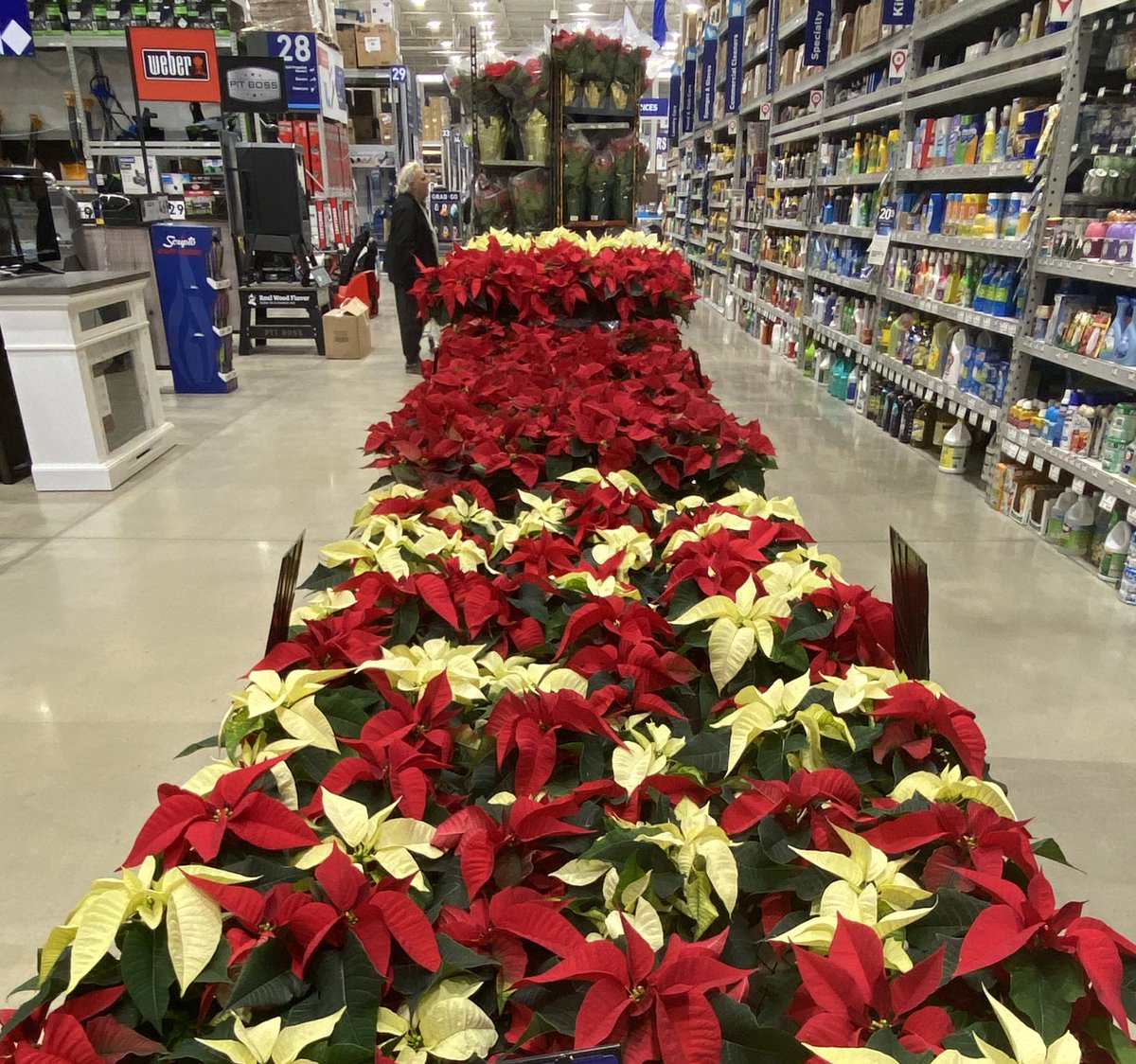 Jill Guth tweet media