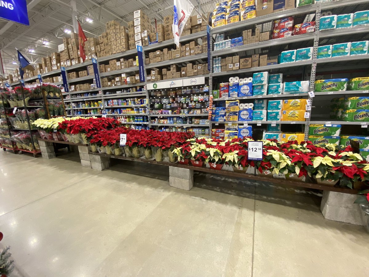 Jill Guth tweet media