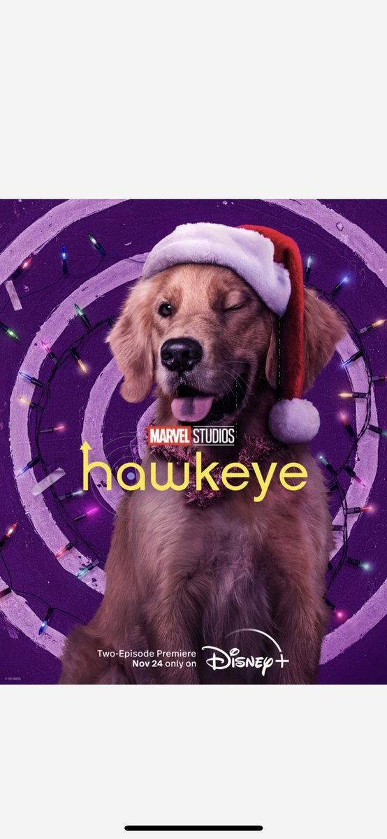 JeremyRenner's tweet photo. Even the dog is getting in the spirit 💯 @disneyplus @hawkeyeofficial https://t.co/kSegVqBxed