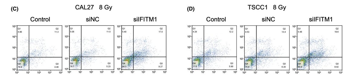 MicrobiomDigest's tweet image. From the same paper (which is a typical #PaperMill paper, probably completely fake), here are some #FlawCytometry #FlowCytometry images 
#ImageForensics 
Can you spot it?