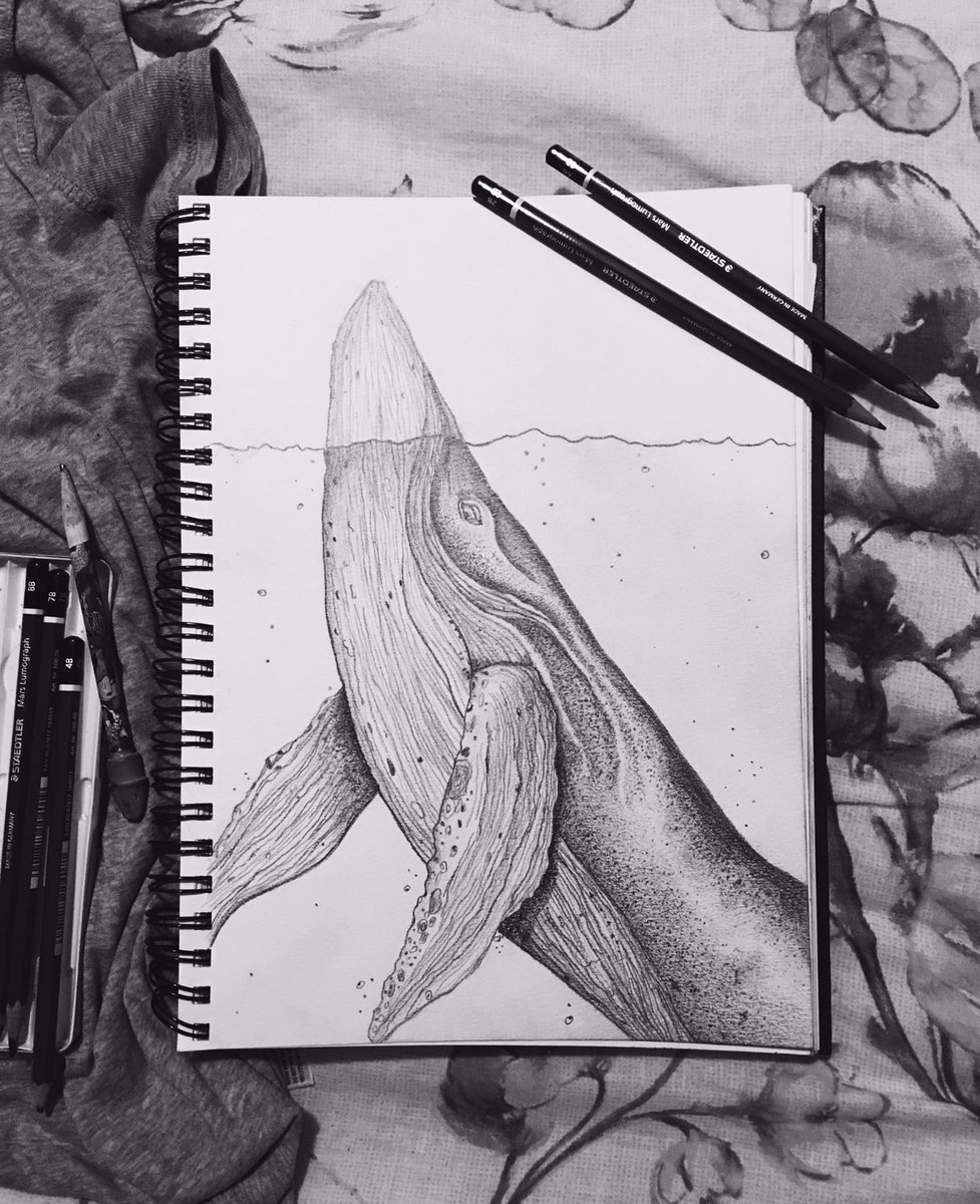Sketch work from a tattoo I stumbled upon 🐋