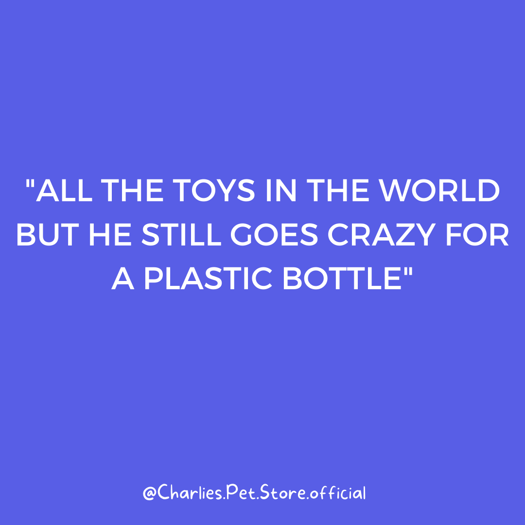 StoreCharlie tweet picture