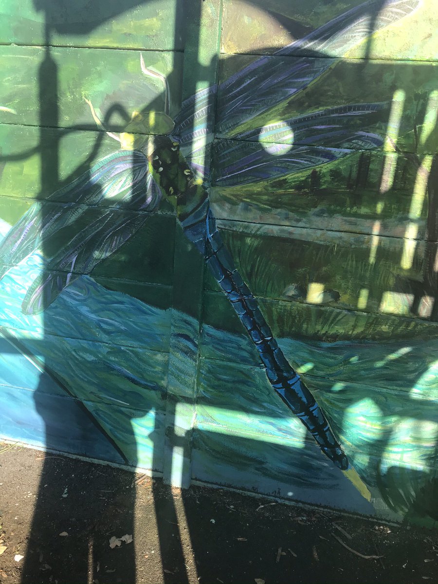 GarfieldWandle's tweet photo. Our exquisite wildlife mural in #GarfieldRec is finally finished (including being varnished/sealed). Big thanks to @RicardsTweets art teachers and students for their hard work and to @Merton_Council for the funding. This is an inspiring asset for our community. https://t.co/2hkTeO846j
