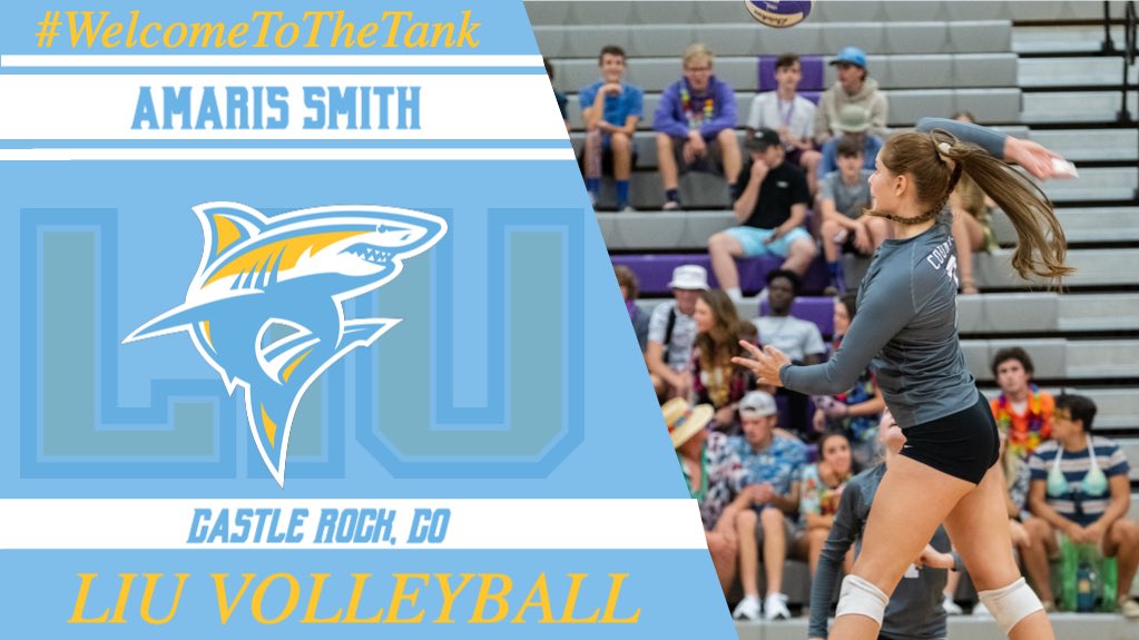 LIU_Volleyball's tweet photo. 🚨New Shark Alert🚨

We are thrilled to announce Amaris Smith as a member of the LIU program! Amaris is a 6’2”, Outside Hitter from Castle Rock, CO. 

#WelcomeToTheTank Amaris and her family!!

#FinsUp
#OfficiallyOfficial https://t.co/iFPJLzeZbr