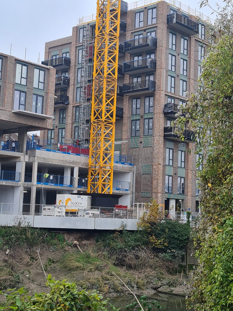 Summer in February....? 🤔😎 tweet media