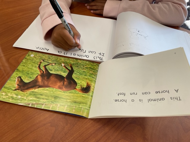 tmeekins's tweet photo. Writing about what we read makes us stronger readers and writers. It helps us retain the information and make connections to the text. Illustrating our writing is always an added bonus! @CatawbaTrail #CTELearning https://t.co/kfeoE89kuz