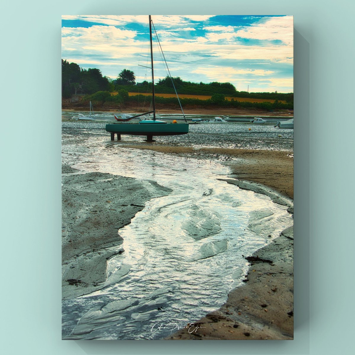 CelinePivoine's tweet photo. Bateau échoué 

📩 Infos &amp; tarifs : https://t.co/cOnzHZkHJu

#paysage #voyage #diplôméeip #photographe #photo #creativeentrepreneur #destinationphotographer #photographer #travel 
#landscape #naturephotography #bateau #mareebasse #mer #breizh #bretagne #sable #ciel #nuages https://t.co/DtLK8AEJoY