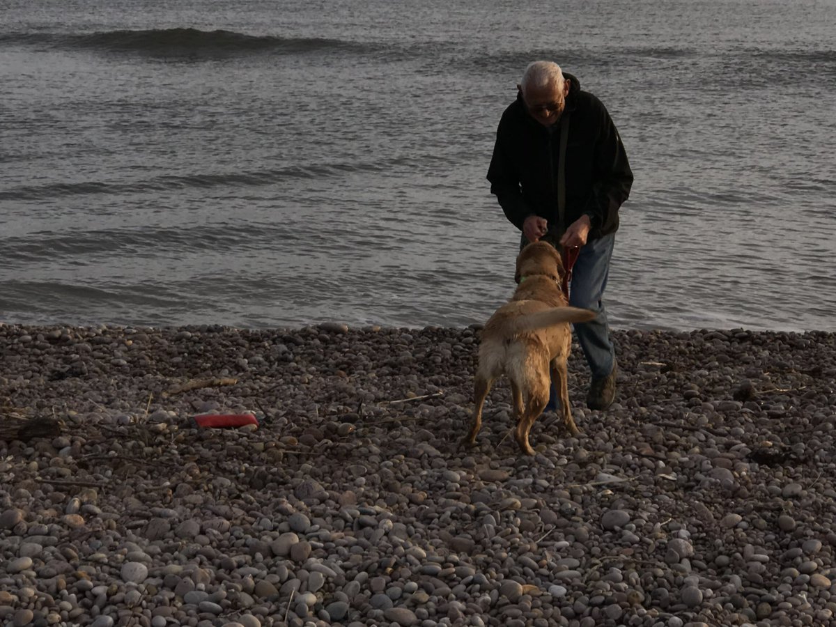 PeterRobinMason's tweet photo. This evening we took Honey down to Otter Point for a swim, it was nearly at the top of a spring tide and a beautiful evening. https://t.co/b13R1ZiKsA