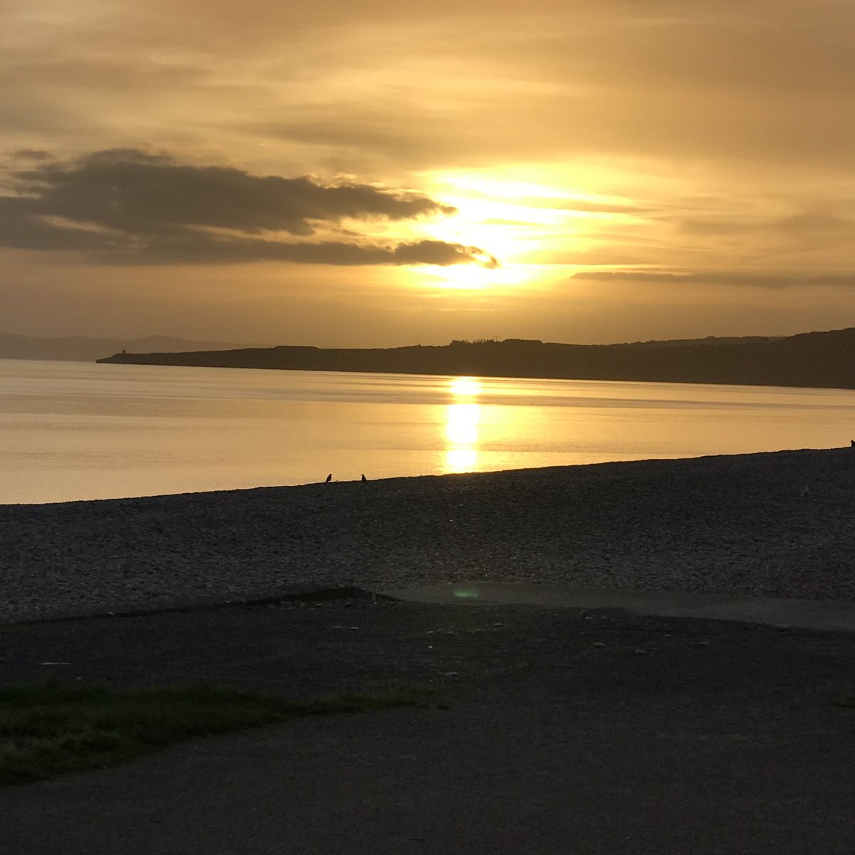 PeterRobinMason's tweet photo. This evening we took Honey down to Otter Point for a swim, it was nearly at the top of a spring tide and a beautiful evening. https://t.co/b13R1ZiKsA