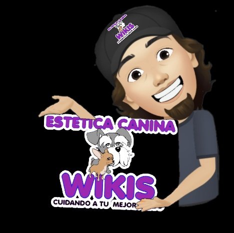 amigoswikipets's tweet photo. #NuevaFotoDePerfil https://t.co/OS4RB9jYlq