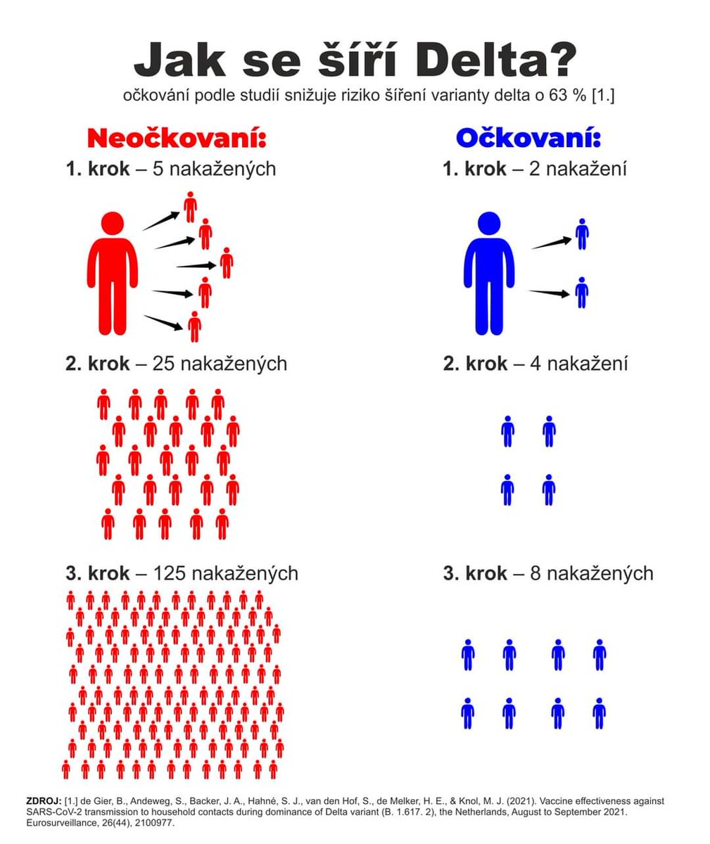 Nora Fridrichova tweet media