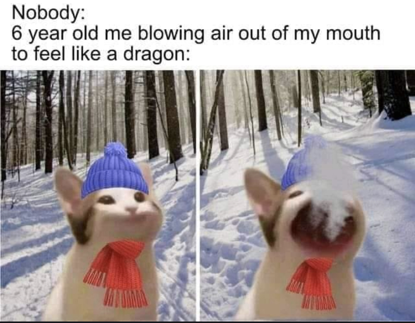 WholesomeMeme's tweet photo. https://t.co/kryHFADDxA