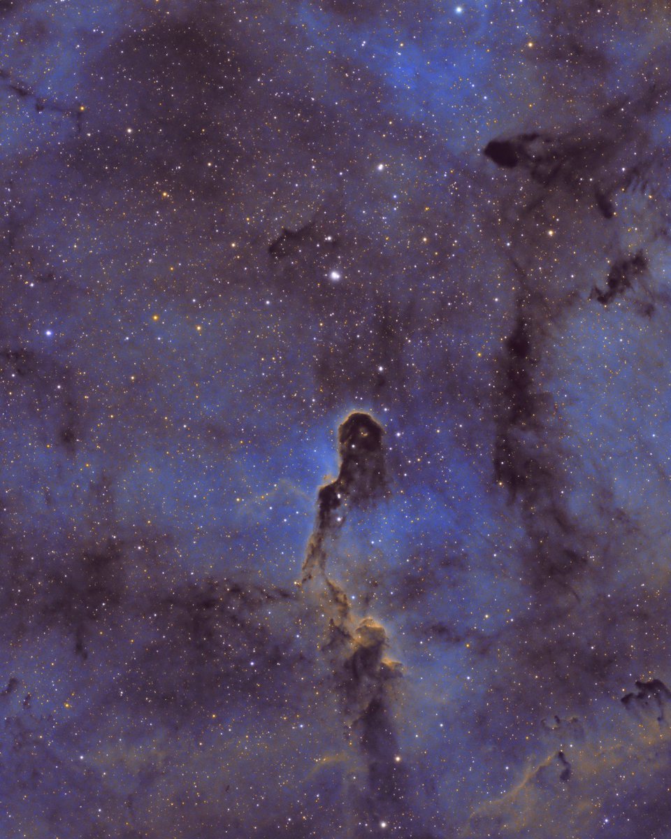 Elephant trunk nebula is located in the constellation Cepheus about 3000 light years away from Earth. 
16.5 hours of integration time, SHO version but with different colors than the traditional Hubble palette colors #Astrophotography