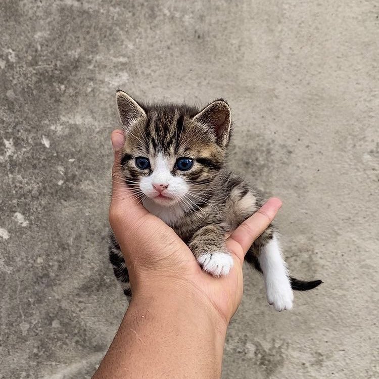bir avuç mutluluk bu olsa gerek