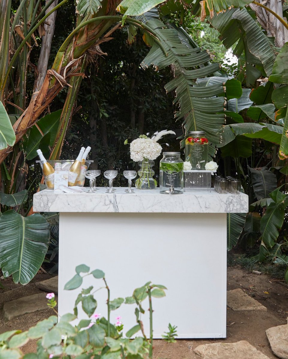Meet us in the jungle, preferably one with a champagne bar!🥂🌴

Rentals: @archiverentals + @jennifermariefoxdesign
DJ: @shesmaad
Photo/video: <a href="/maxbronner/">Max Bronner</a>
Sound healer: <a href="/carlytway/">crystal lady</a>
Catering: @misskatescatering
Floral/design:  @marleyhemmen