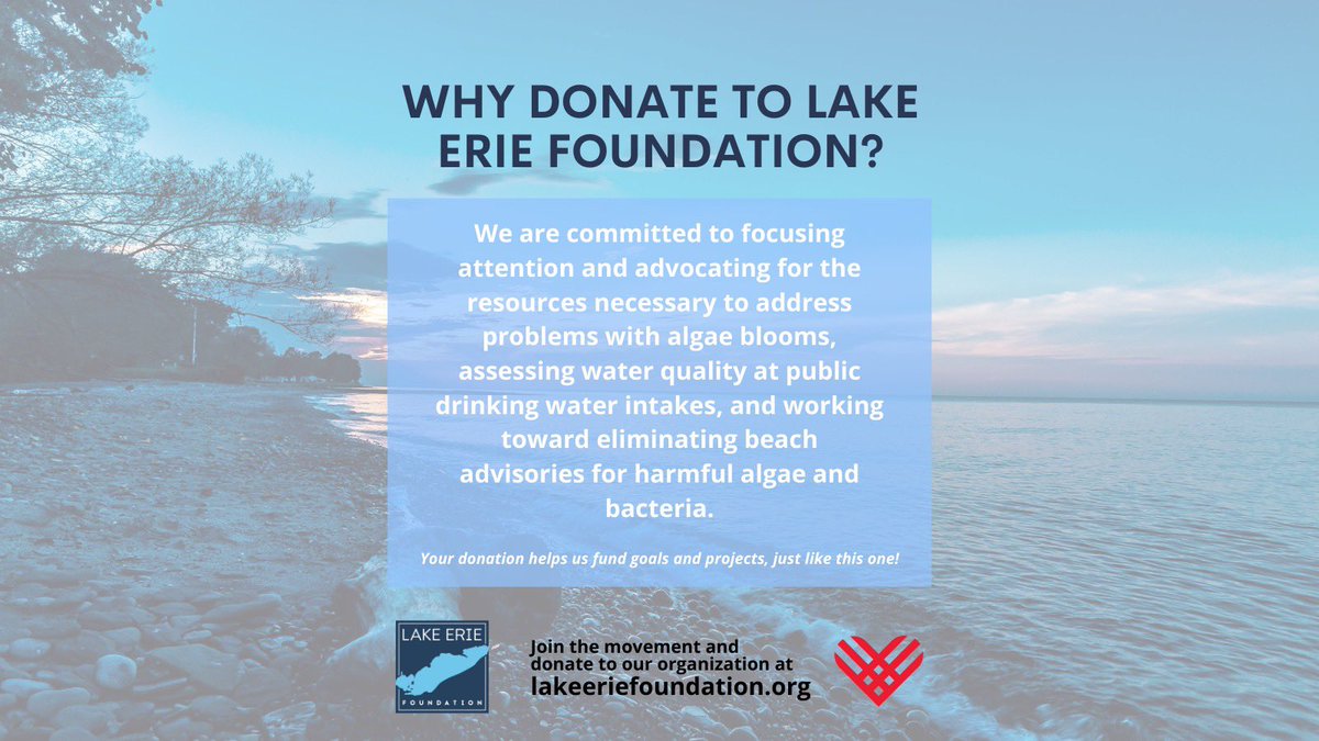 Why donate to Lake Erie Foundation? 👀👀👀🤔 #GivingTuesday #givingtuesday2021 #giveback #lakeerie