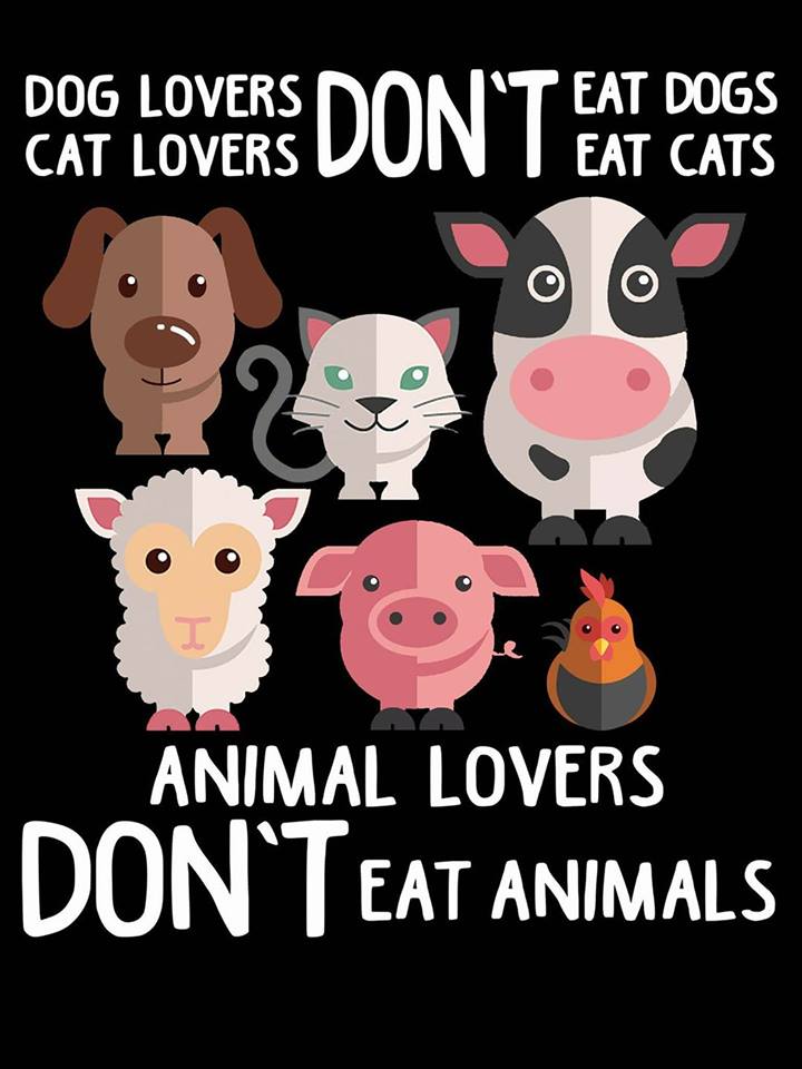 VegansUK's tweet photo. Go vegan for the animals. They deserve our respect and they matter morally. Most people in this country consider themselves to be animal lovers. If you love animals and believe they deserve justice, then you understand veganism. #WorldVeganMonth #GoVegan https://t.co/4ehL1YdpmS