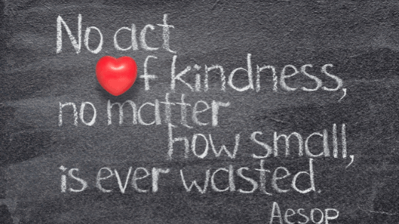 Stonefields Collab tweet media