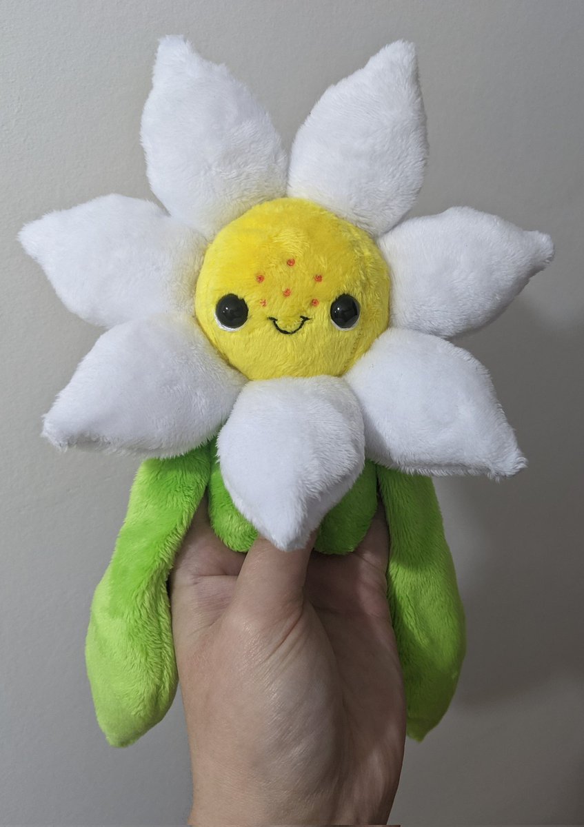 Liberty 🌟 tweet media