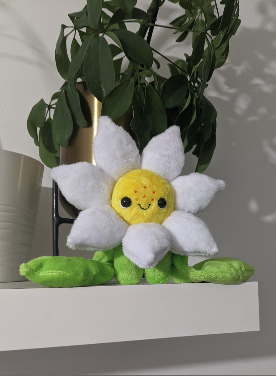 Liberty 🌟 tweet media