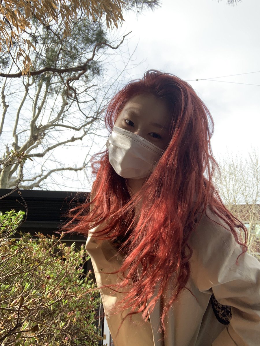 CHAERTHlNKER's tweet photo. comfort https://t.co/utZAWRccWq