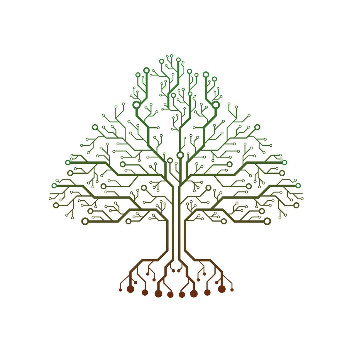 CedarToken tweet picture