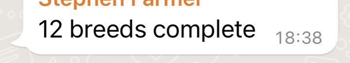 AxieSquad_101's tweet photo. When you get that message from @Stephen59359382 lllllfffffgggggg @kylestarr101 commmmoooonnnn! https://t.co/2D8PKohhoc