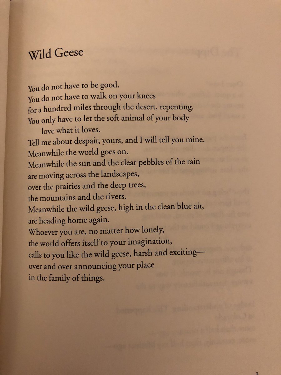 HANNAHSTORM6's tweet photo. For anyone who needs this right now: the incomparable Mary Oliver and ‘Wild Geese’, a surprise appearance in a book I’ve just bought, and even more wonderful as I feel I’ve found my place ‘in the family of things’ #poetry #mentalhealth https://t.co/D2GNMEPVzf