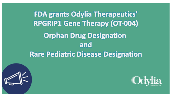 OdyliaTx's tweet photo. Odylia Therapeutics announced today that the FDA granted Orphan Drug Designation and Rare Pediatric Disease Designation to OT-004, Odylia's lead program to treat vision loss caused by mutations in the RPGRIP1 gene. #raredisease #RPGRIP1 #LCA6 #genetherapy https://t.co/fiHqQfOHil https://t.co/3q2O6VgwNa