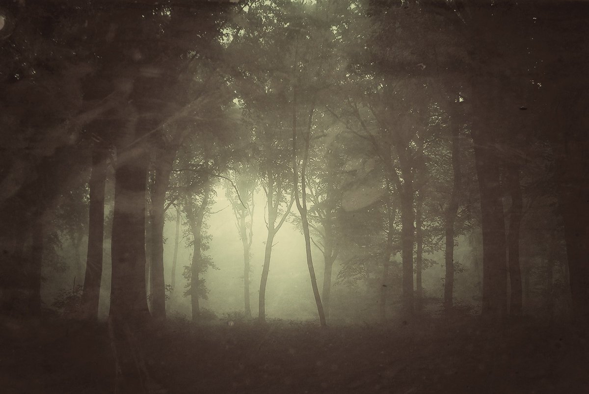 ghost_maps's tweet photo. Locals have seen “ghost people” in the woods behind Scarborough Beach in #Maine. One is the #ghost of Richard “Crazy Eye” Stonewall, buried here in 1697. Others are nameless figures, thought to be victims of a 1703 massacre that gave “Massacre Pond” its name. #PortlandME #map https://t.co/YdZ67CDxTd