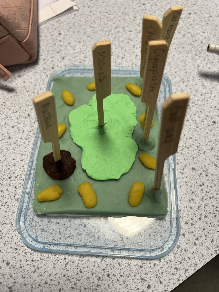 Some more fantastic cells <a href="/allsaintsccduk/">All Saints CC</a>