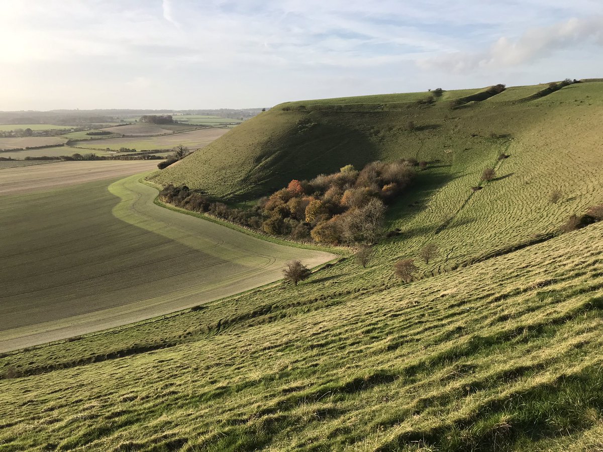 seankayesmith's tweet photo. #HillfortsWednesday Two shots of White Sheet Hill near Mere in #Wiltshire taken this afternoon from the #MidWiltsWay https://t.co/9wYyw5c905