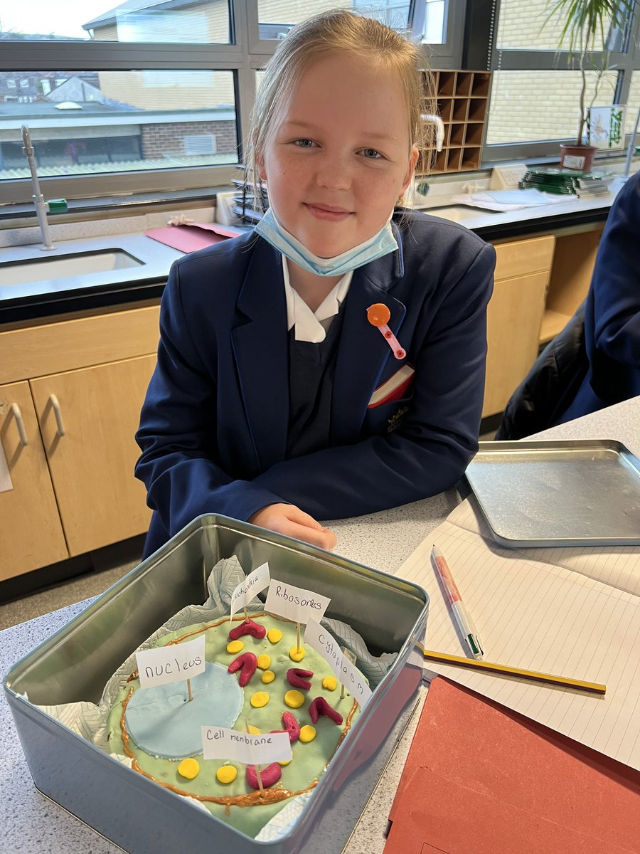 Fantastic effort by year 7 creating 3D structures of cells <a href="/allsaintsccduk/">All Saints CC</a>