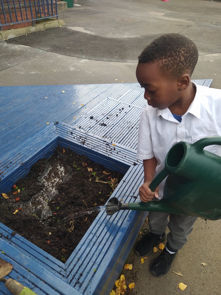 HannahMorePri's tweet photo. Year 1 are doing a great job weeding and planting bulbs for #ActsofKindnessWeek #PSHEathannahmore https://t.co/Ag1ZUQbe1u