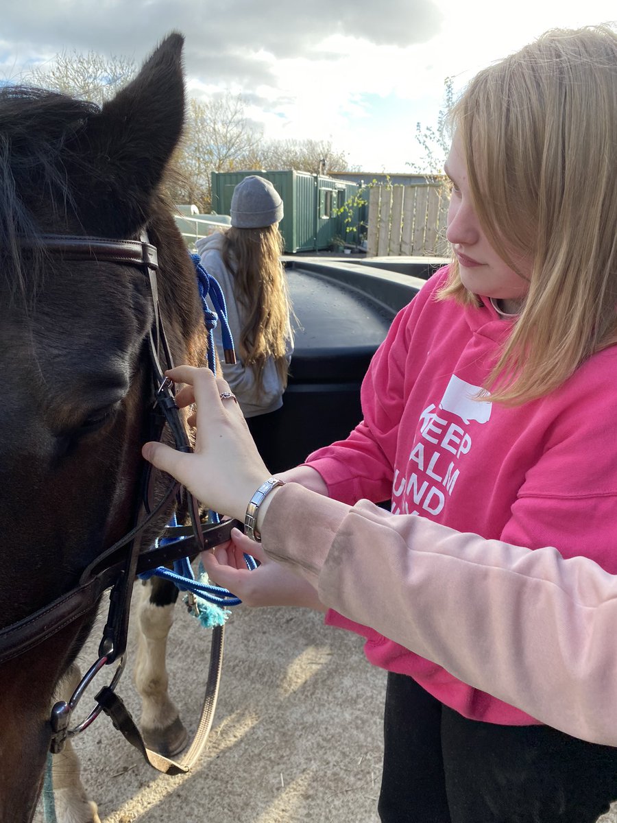 HopeMontana's tweet photo. A great day working on our Level 1, saddling and bridling, grooming and building a roof. Well done everyone. #equinelearning https://t.co/gtQGVmT8sd