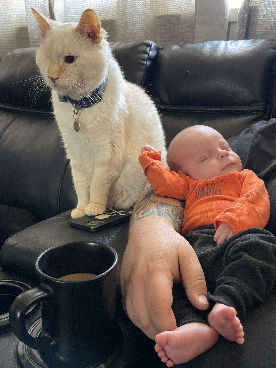 snakey1eye's tweet photo. babby seat’img https://t.co/7wrXUgoyMi