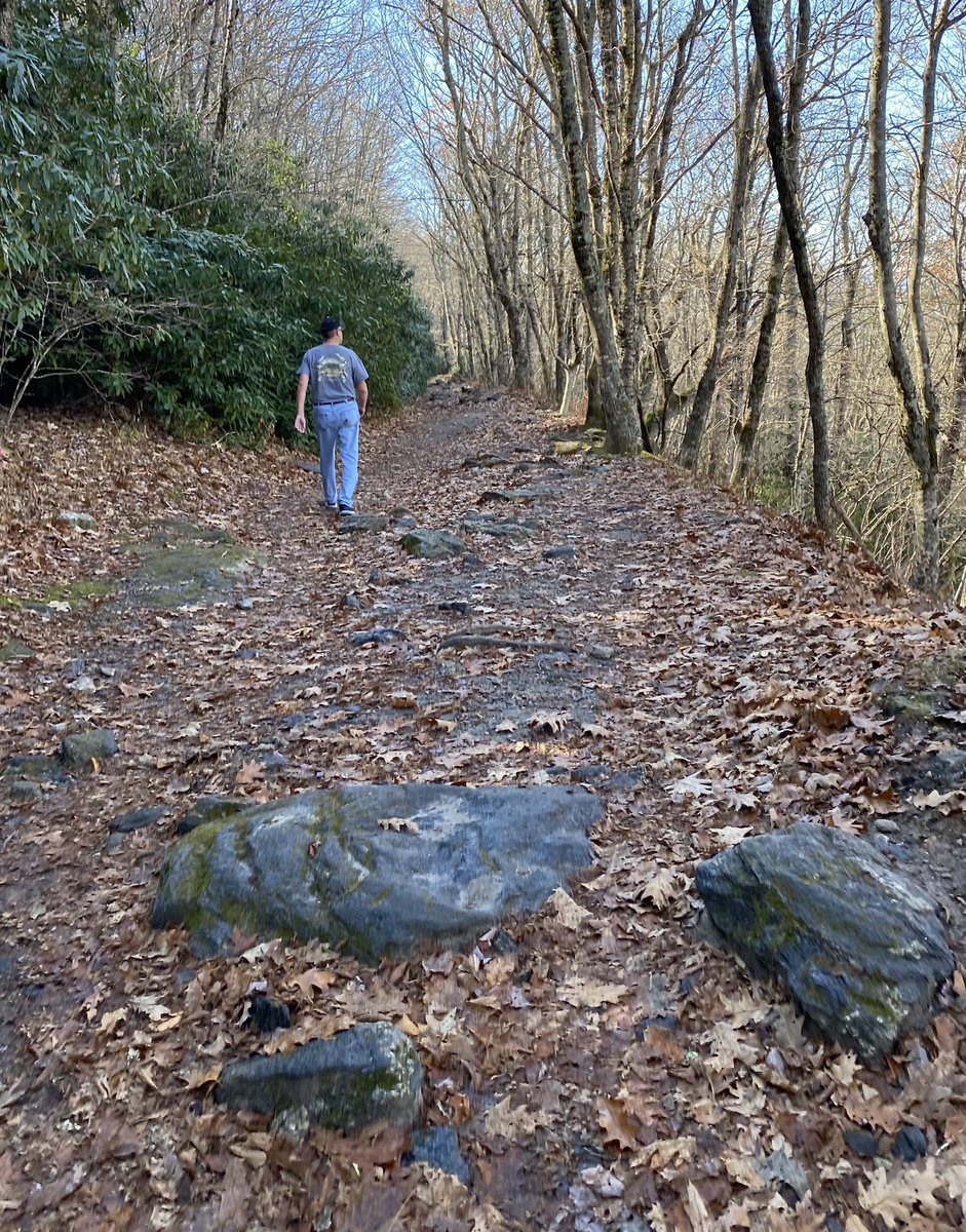 kwall911's tweet photo. Whiteside Mountain Trail #NationalTakeAHikeDay #NCNationalForest @AllTrails @USDA https://t.co/nUabSQ8nO3