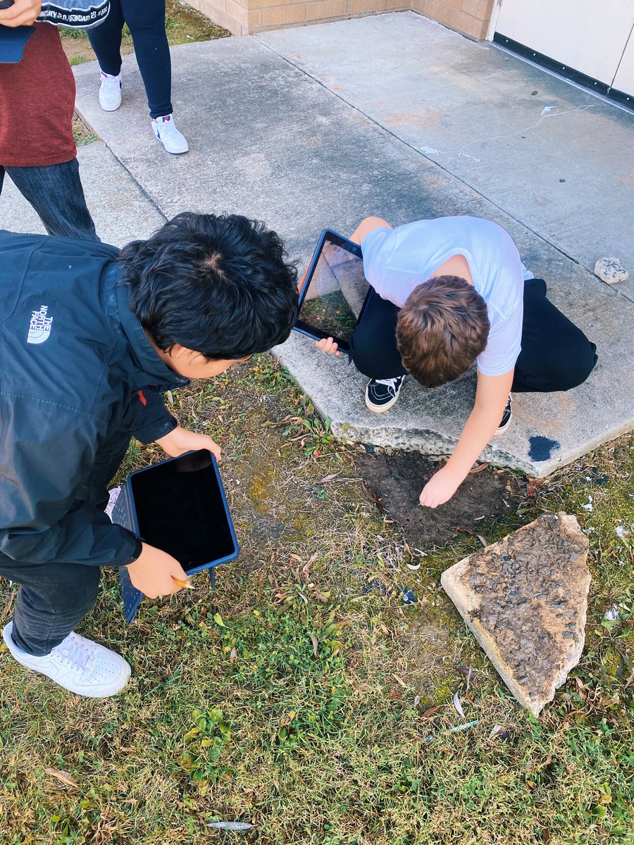 ewagonerhil's tweet photo. Today, we used our iPads to document all the different things (producers, consumers, decomposers, etc.) that make our ecosystem functional! https://t.co/fceHeRlFfA
